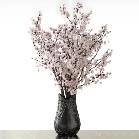 Sakura in a vase